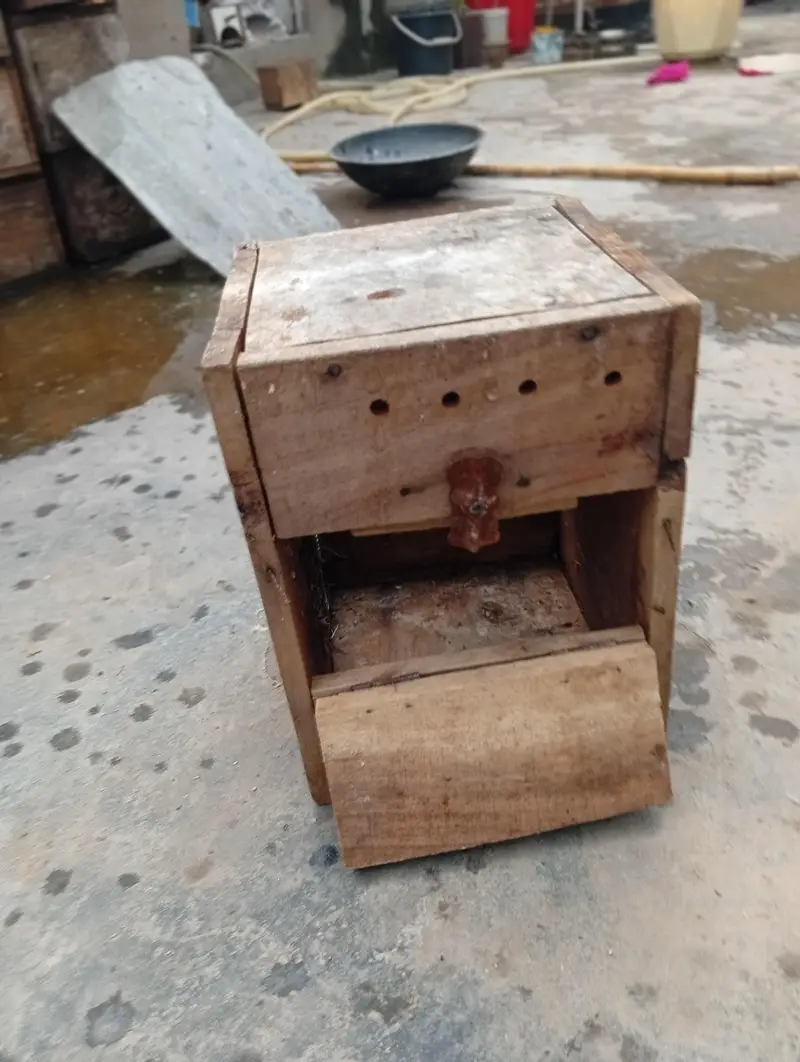 PARROTS BREEDING BOX — photo 2