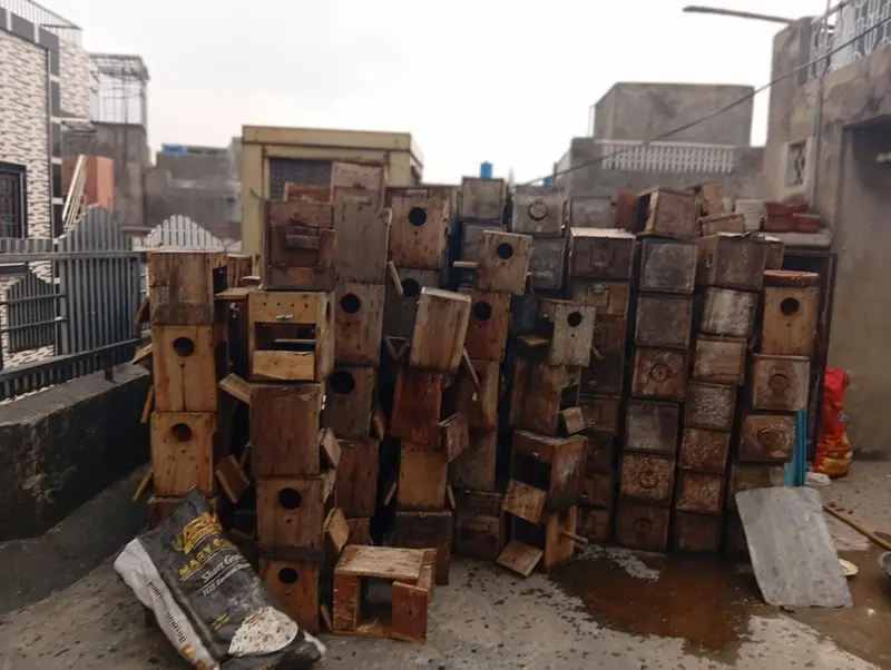 PARROTS BREEDING BOX — photo 6