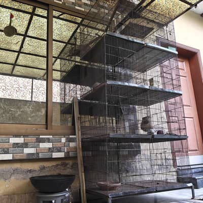 birds cage 8 portion