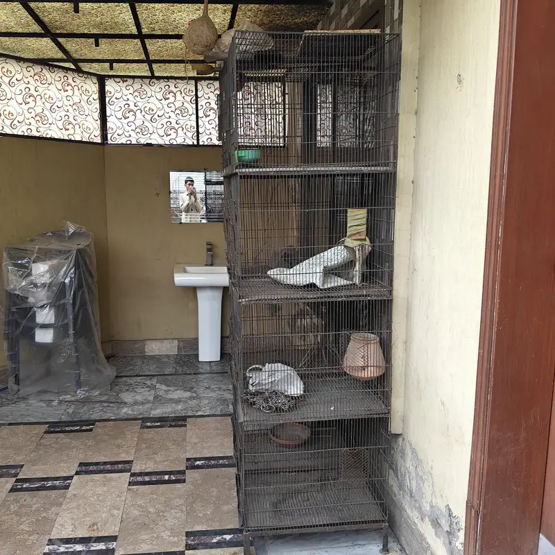 birds cage 8 portion — photo 2