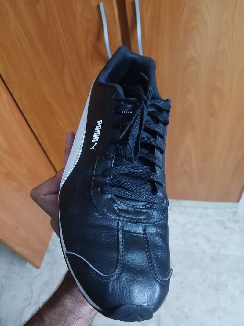 Puma speed cat 5