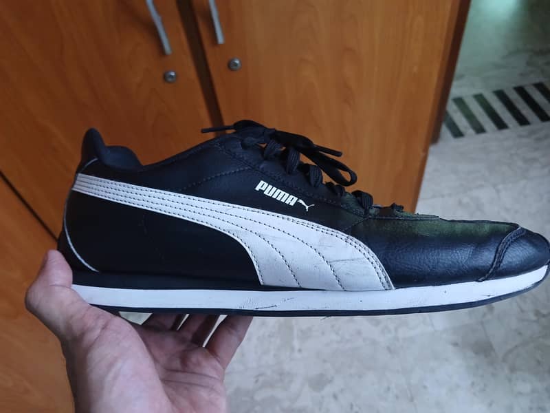 Puma speed cat 6