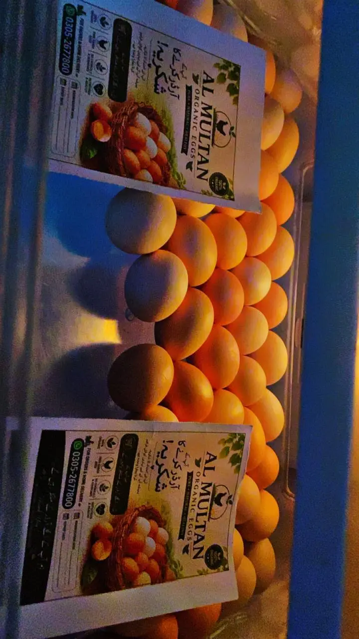desi eggs — photo 2