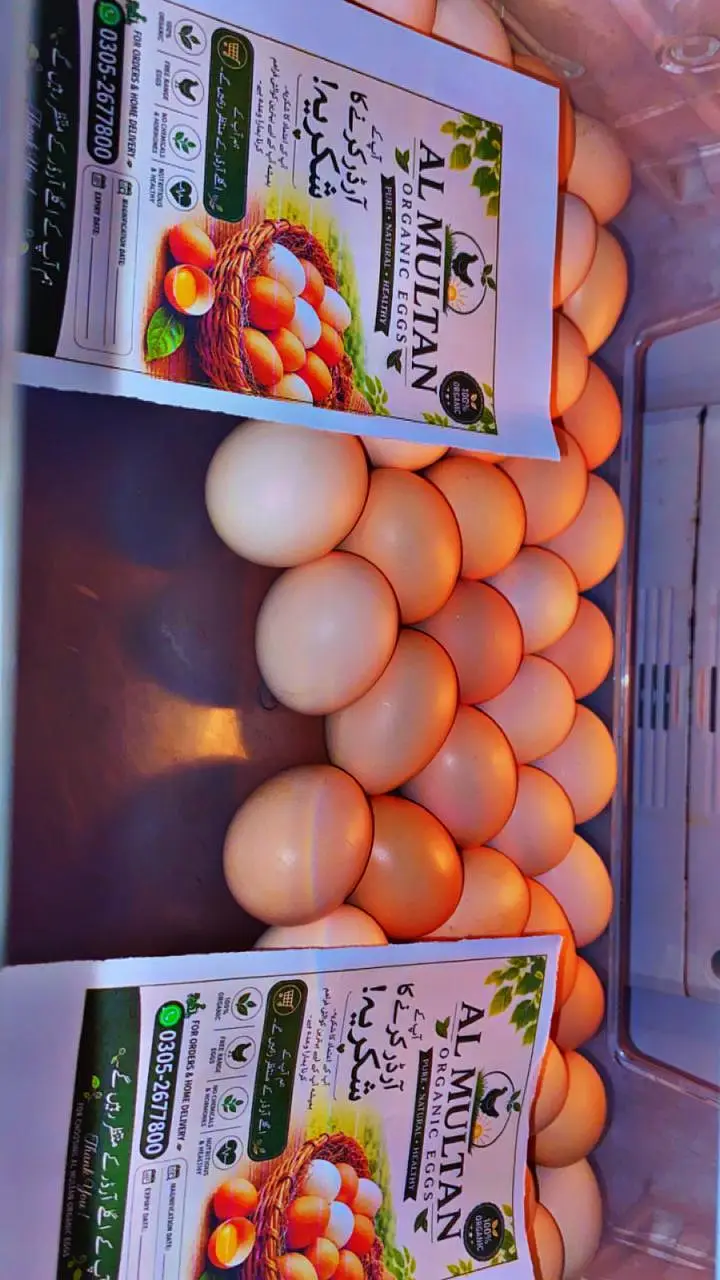 desi eggs — photo 3