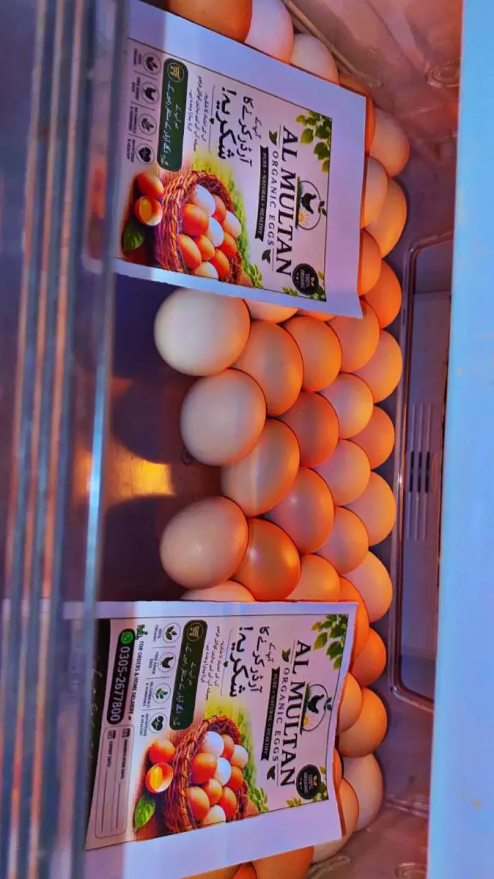 desi eggs — photo 4