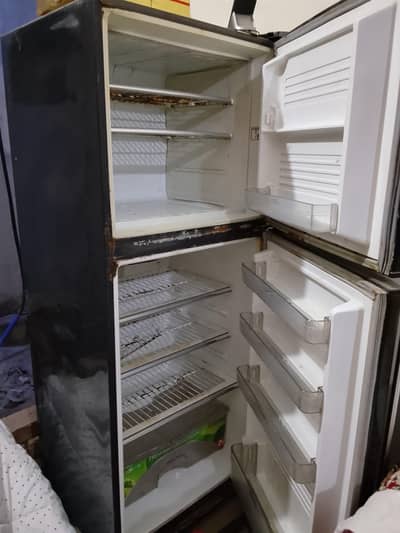 good at freezing