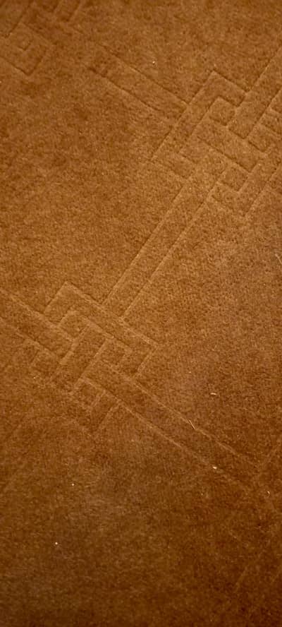 Carpet for sale