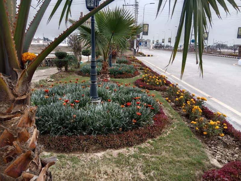 8 MARLA PLOT AVAILABLE 13