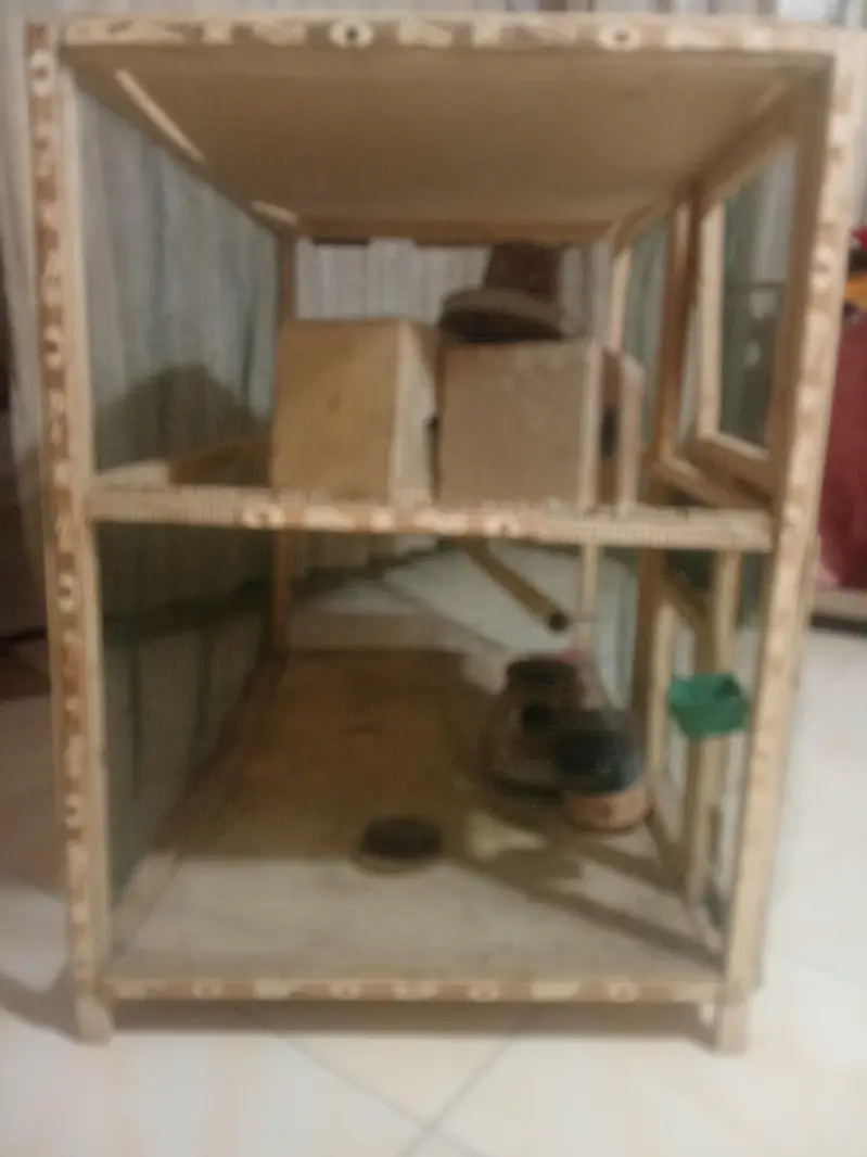 home made cage for sale — photo 2