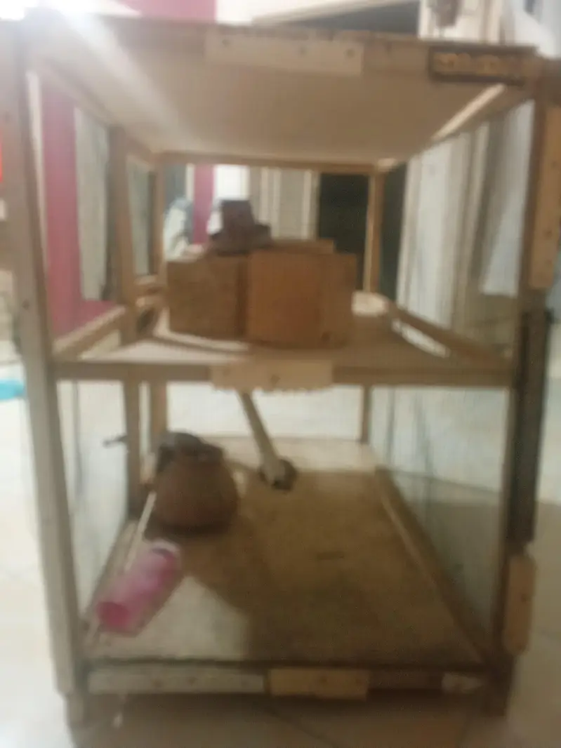 home made cage for sale — photo 3