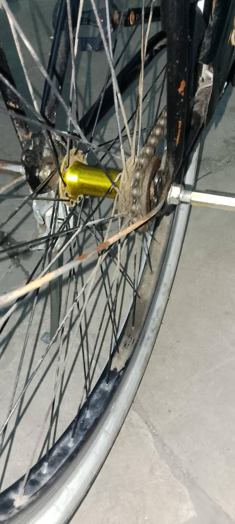 bicycle 2