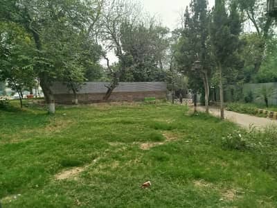Get A Prime Location 124 Marla Commercial Plot For sale In Mall Road