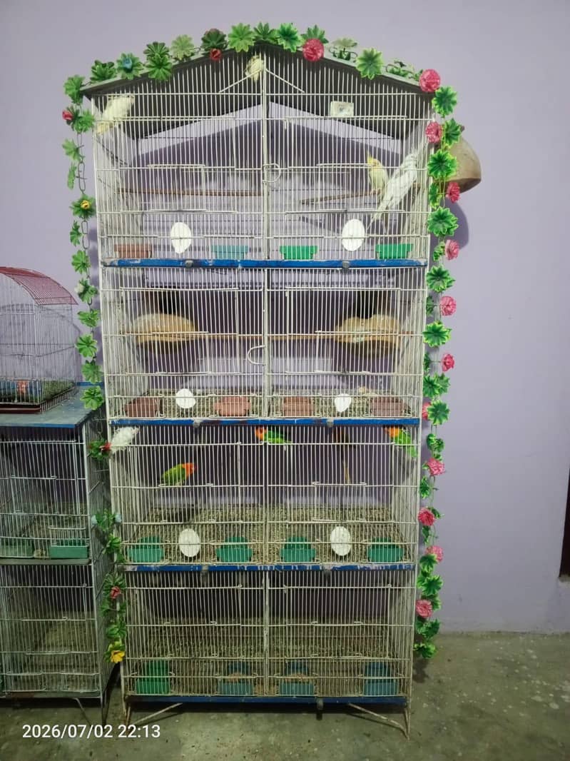 cages 2