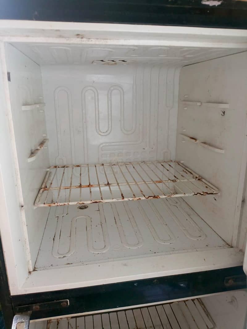 freezer  , p, e, l, 1