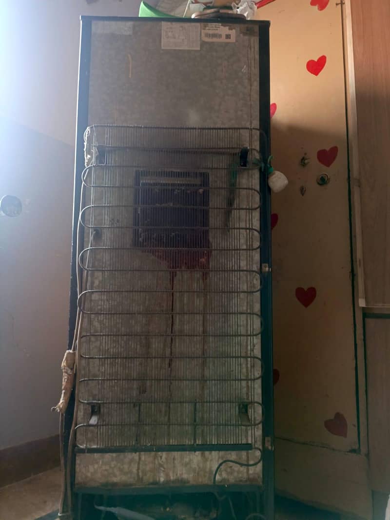 freezer  , p, e, l, 6