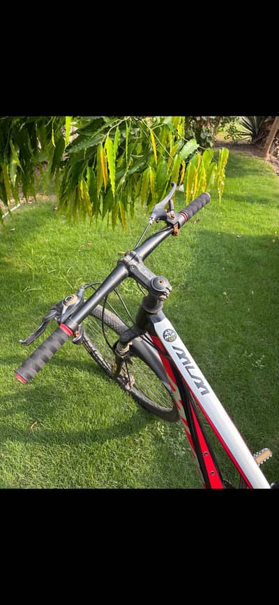Mountain bicycle