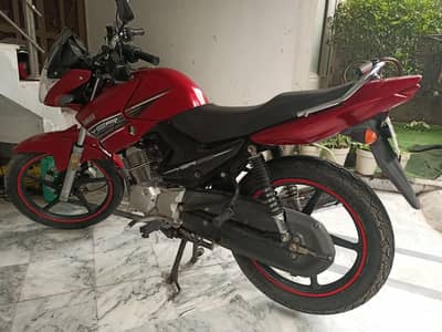 YBR 125