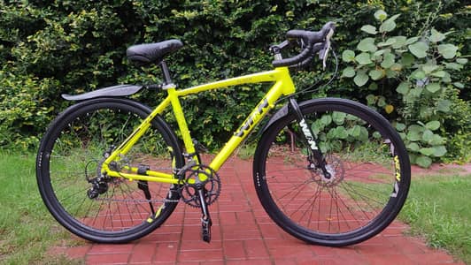 WINN Flash Road Bike