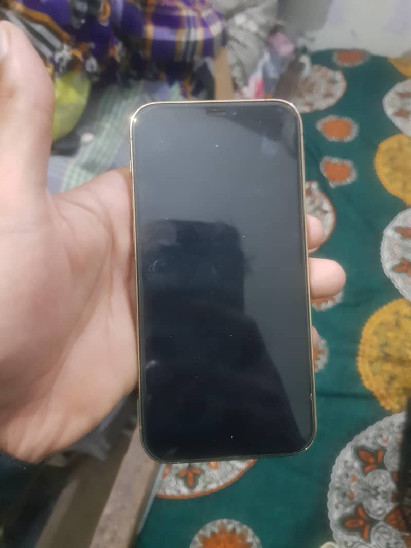 Apple iPhone 12 Pro 1