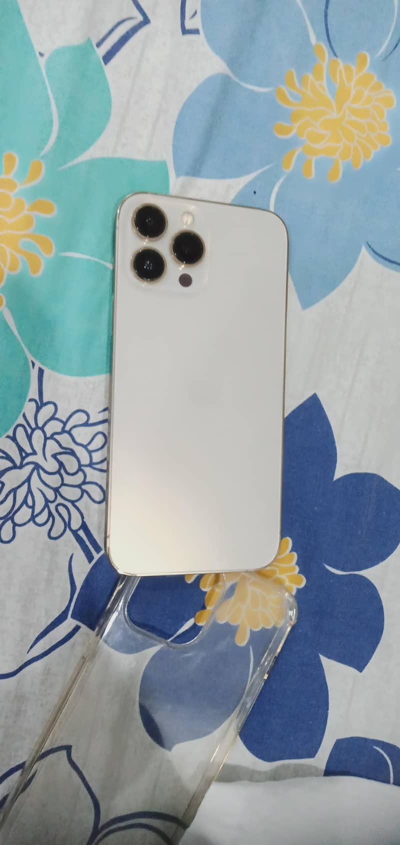 Apple iPhone 13 Pro Max 1