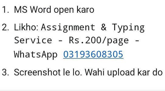 Ms word assignment and typing services