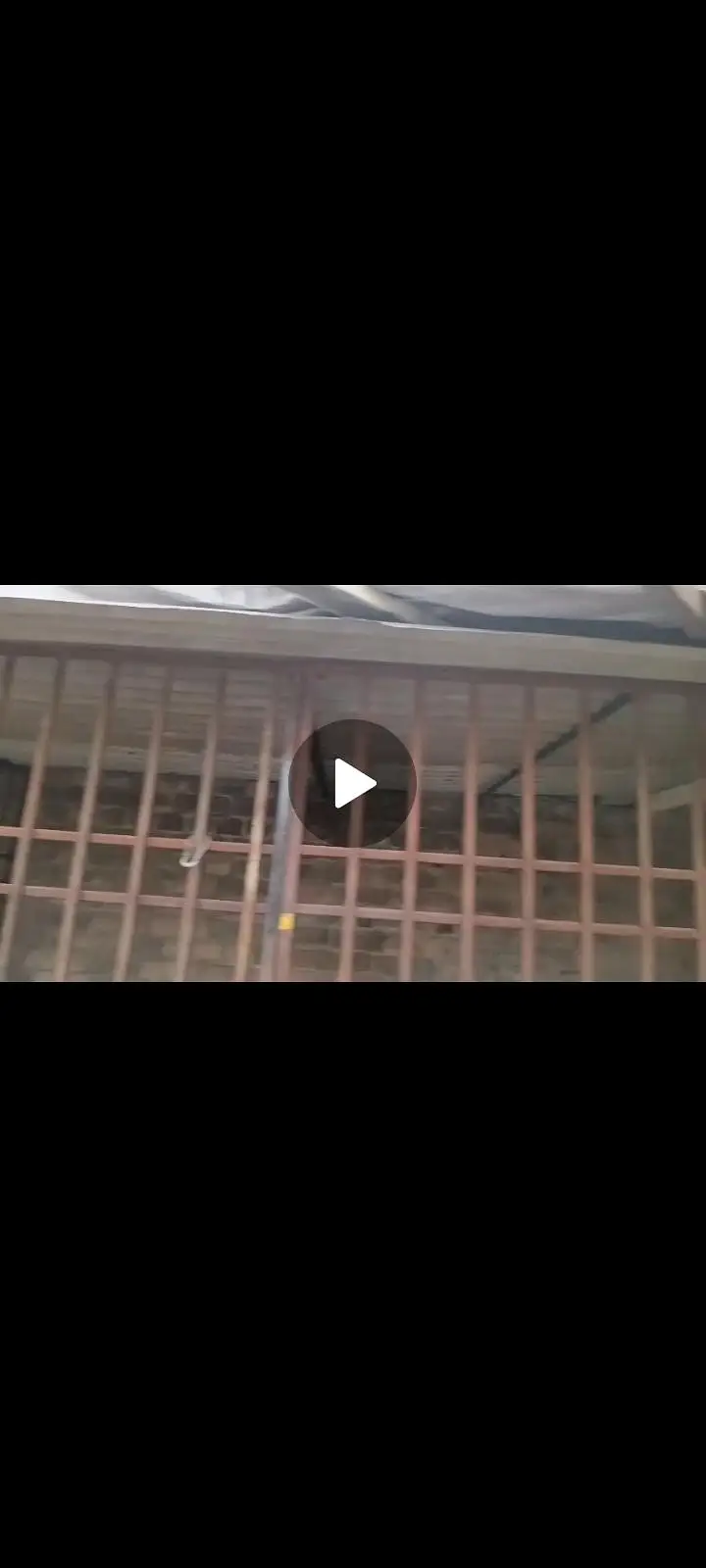 Dog cage iron pure wallaety cage — photo 3