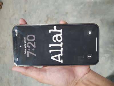 Apple iPhone 12 Pro Max