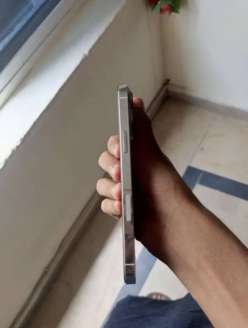 Apple iPhone 13 Pro Max 2