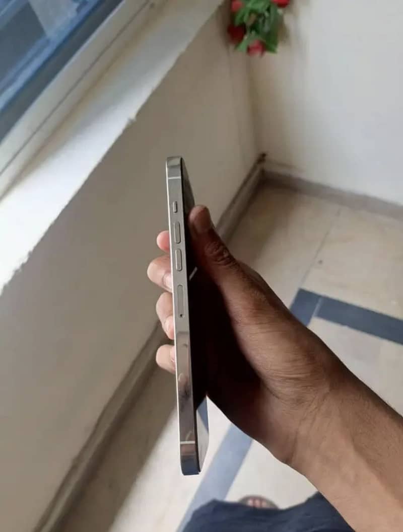 Apple iPhone 13 Pro Max 3