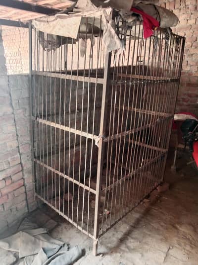 Hen cage big size for chicken shop