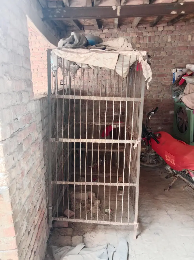 Hen cage big size for chicken shop — photo 2