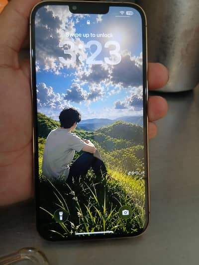 Apple iPhone 13 Pro Max