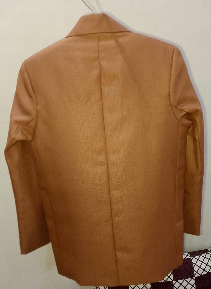Pent Coat 2