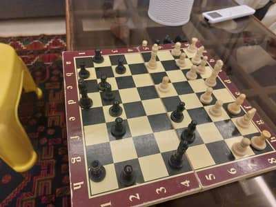Chess fun game