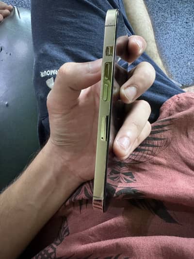 Apple iPhone 13 Pro jv  (03064040401) panel change