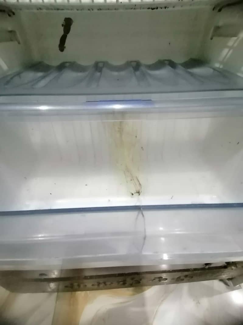 orient freezer 5
