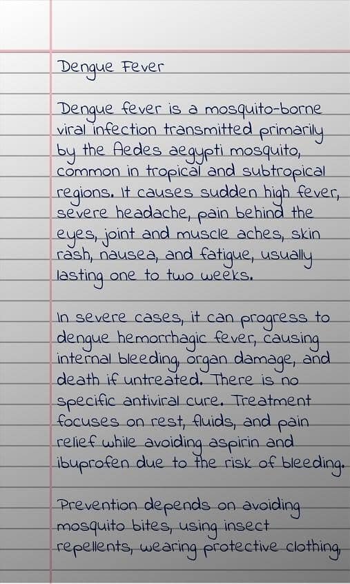 assignment writer 0