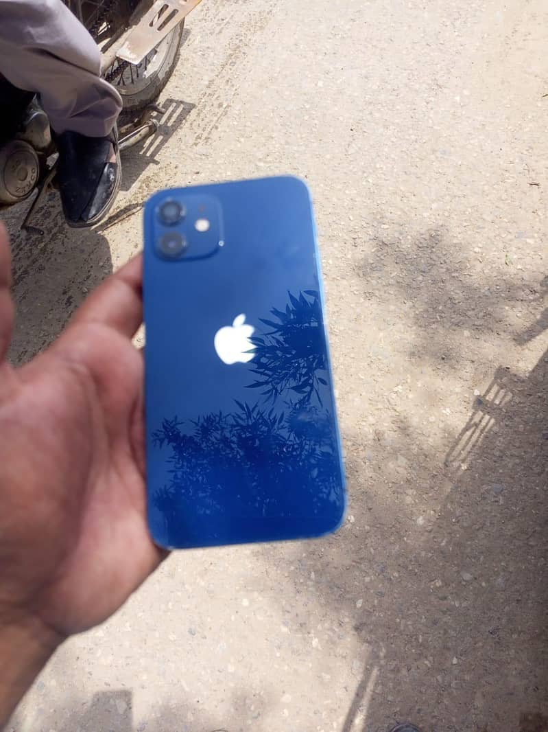 Apple iPhone 12 1