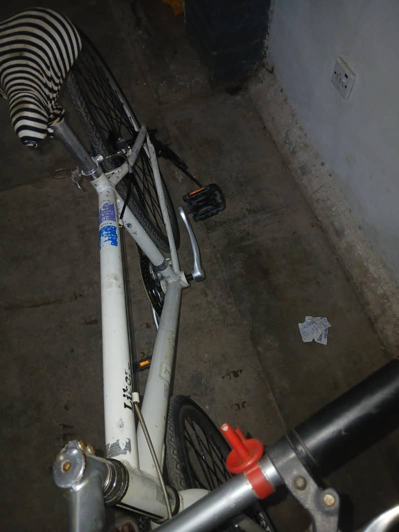 JapanY Cycle 1