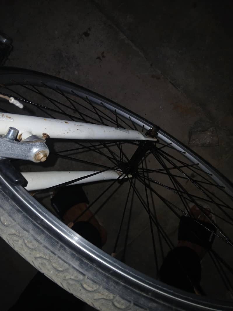 JapanY Cycle 2