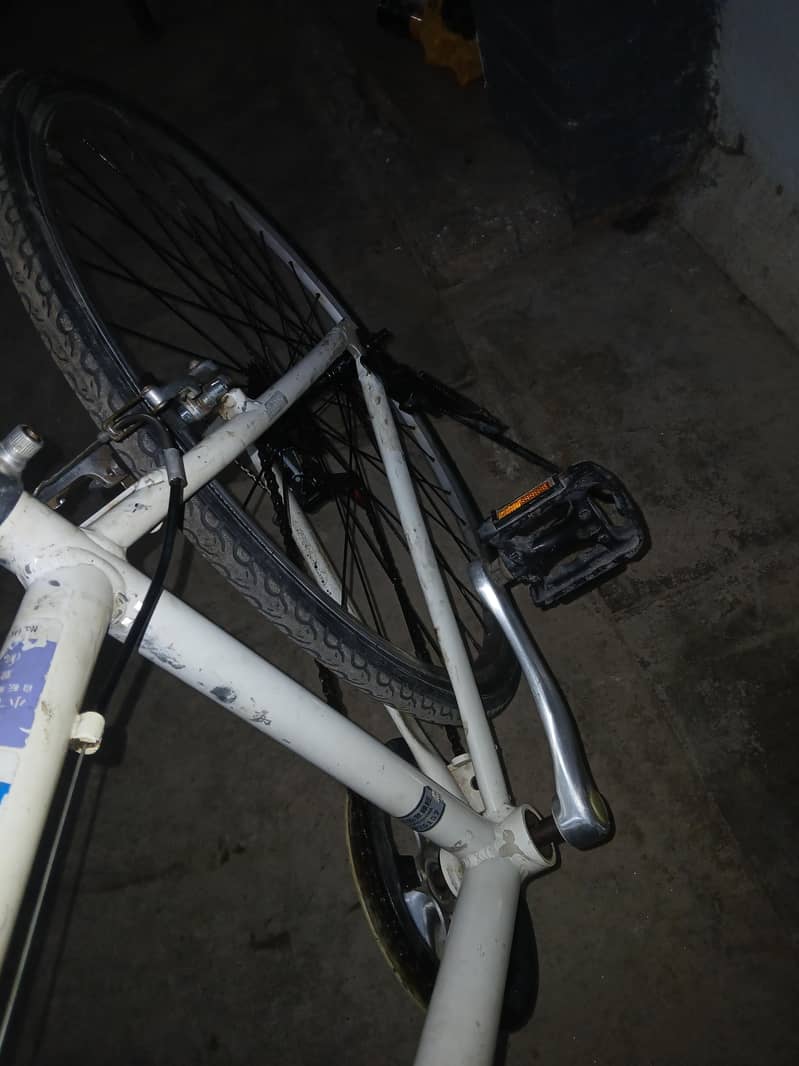 JapanY Cycle 5