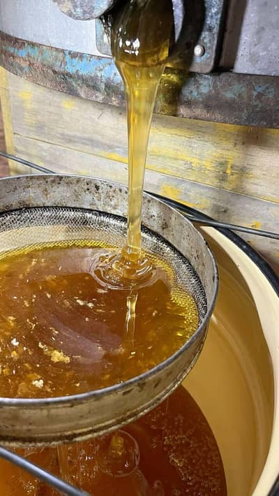 Pure Honey