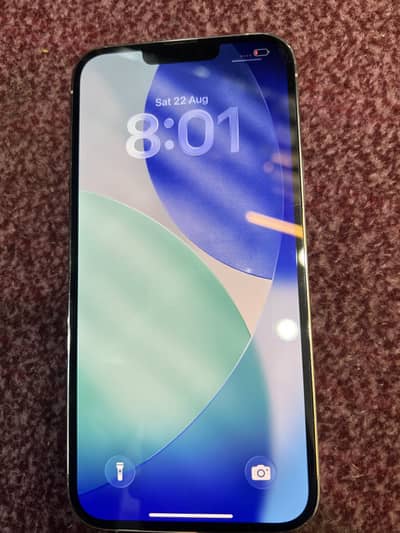 Apple iPhone 13 Pro Max