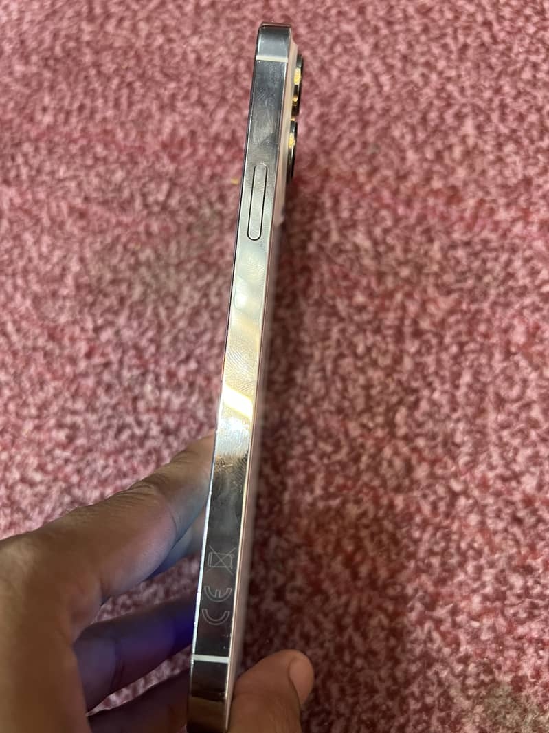 Apple iPhone 13 Pro Max 2