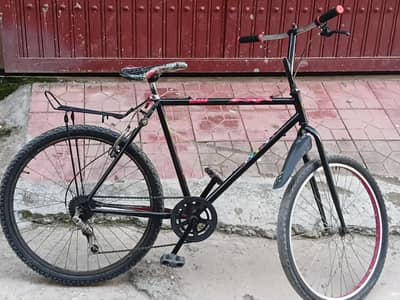 Bicycle L-size