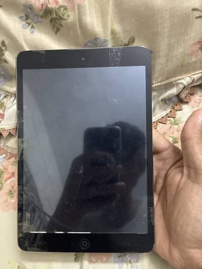 iPad 2 mini