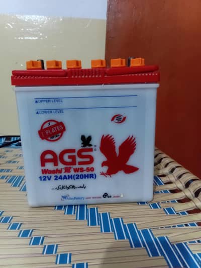 AGS WS 50 battery
