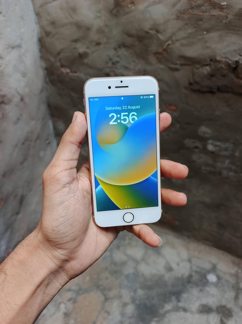 Apple iPhone 8 1