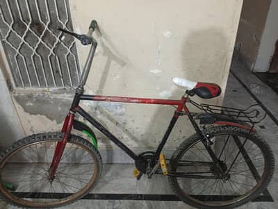 Phoenix bicycle availabile
