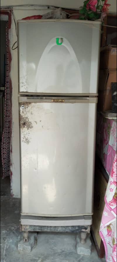 Medium size fridge